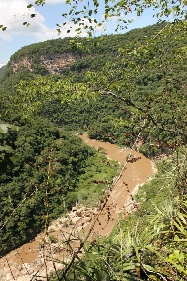  Sale Canyon 